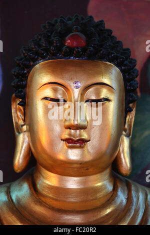 Hong Hien Tu Tempel. Buddha-Statue. Siddhartha Gautama. Stockfoto