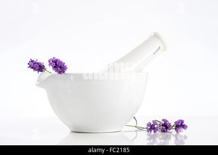 PFLANZLICHE ARZNEIMITTEL Stockfoto