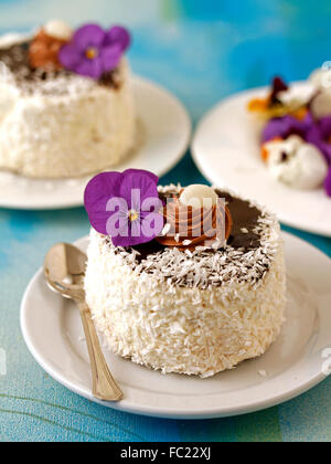 Schwamm-Schokoladenkuchen mit Kokos. Stockfoto