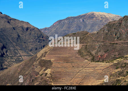 Inka-Terrassen, Heiliges Tal, Valle Sagrado, Pisac oder Pisaq, Provinz Cusco, Peru Stockfoto