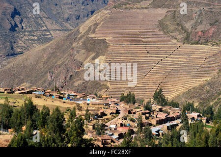 Inka-Terrassen, Heiliges Tal, Valle Sagrado, Pisac oder Pisaq, Provinz Cusco, Peru Stockfoto