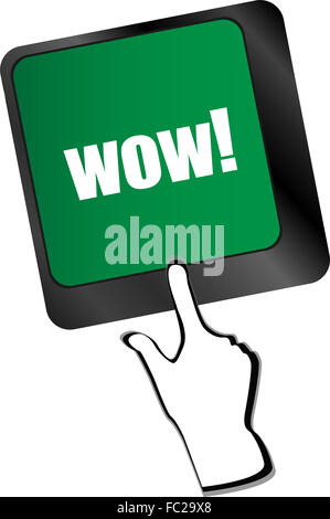 Wow-Taste auf Computer Tastatur wichtiger Vektor Stockfoto