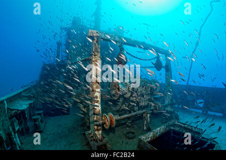 Untiefe, mediterrane Stöcker (Trachurus Mediterraneus), Schiffswrack Constandis, versenkt für Taucher, Unterwasser-Naturschutzgebiet Dasoudi Stockfoto