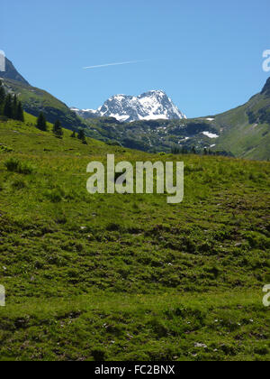 Berg mit Feld und blauer Himmel Stockfoto