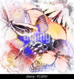 Aquarell Schmetterling Hintergrund Stockfoto