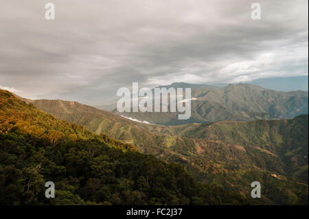 Regenwald in der Sierra Nevada de Santa Marta Stockfoto