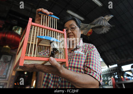 Bangkok, Thailand. 20. Januar 2016. Eine Frau befreit Vögel in einem Tempel in Bangkok, Thailand, 20. Januar 2016. Einige Thais glauben, dass Schildkröten zu befreien Menschen länger leben lässt und Befreiung, Vögel und Fische Menschen Glück bringen wird. © Rachen Sageamsak/Xinhua/Alamy Live-Nachrichten Stockfoto