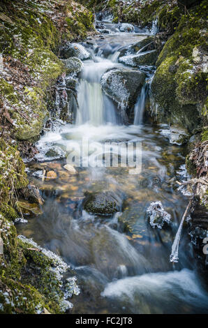 Kleiner Bach mit Wasserfall Stockfoto
