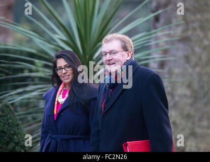 David Mundell, Staatssekretär für Schottland, kommt am Downing Street mit Priti Patel, Staatsminister für Beschäftigung Stockfoto