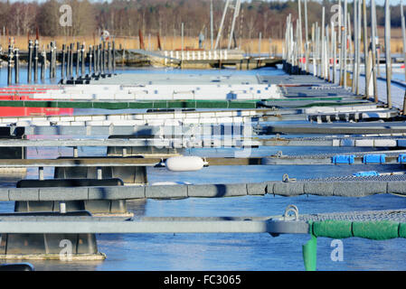 Eine abstrakte Ansicht über die Balken Liegeplatz in einem Hafen im Winter. Flachen Fokus auf Balken mit weißen zylindrische marine Kotflügel. Meer ich Stockfoto