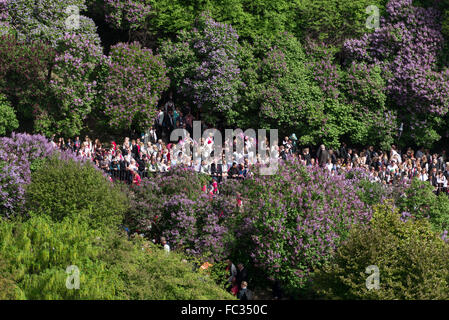 Tag der norwegischen Verfassung Publikum im park Stockfoto