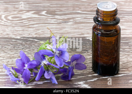 Bach Flower Remedies von Veilchen Stockfoto