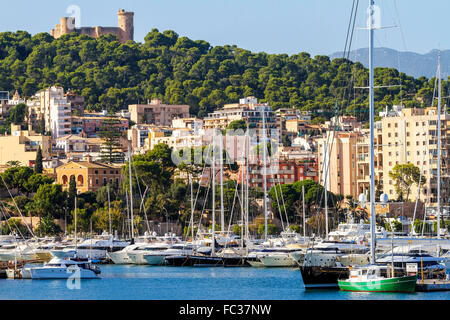 Yachten im Hafen Palma Mallorca Spanien Stockfoto