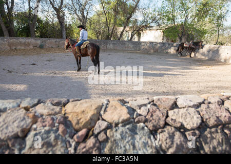 Eine mexikanische Charro oder Cowboy während des Trainings für einen Charreada Wettbewerb auf einer Hacienda-Ranch in Alcocer, Mexiko. Die Charreada ist eine traditionelle mexikanische Rodeo und testet die Fähigkeiten des Cowboys reiten, Abseilen und Vieh zu kontrollieren. Stockfoto