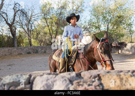 Eine mexikanische Charro oder Cowboy während des Trainings für einen Charreada Wettbewerb auf einer Hacienda-Ranch in Alcocer, Mexiko. Die Charreada ist eine traditionelle mexikanische Rodeo und testet die Fähigkeiten des Cowboys reiten, Abseilen und Vieh zu kontrollieren. Stockfoto