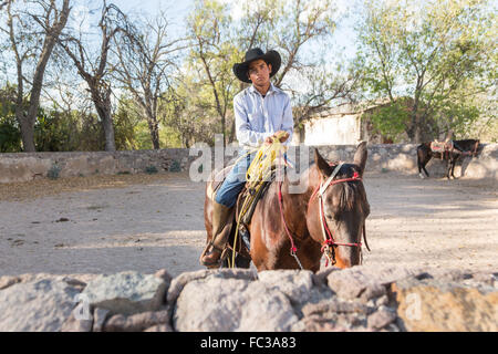 Eine mexikanische Charro oder Cowboy während des Trainings für einen Charreada Wettbewerb auf einer Hacienda-Ranch in Alcocer, Mexiko. Die Charreada ist eine traditionelle mexikanische Rodeo und testet die Fähigkeiten des Cowboys reiten, Abseilen und Vieh zu kontrollieren. Stockfoto