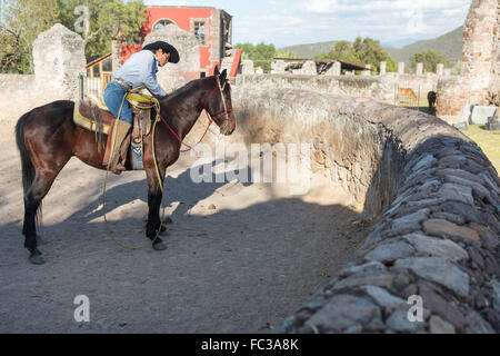 Eine mexikanische Charro oder Cowboy während des Trainings für einen Charreada Wettbewerb auf einer Hacienda-Ranch in Alcocer, Mexiko. Die Charreada ist eine traditionelle mexikanische Rodeo und testet die Fähigkeiten des Cowboys reiten, Abseilen und Vieh zu kontrollieren. Stockfoto