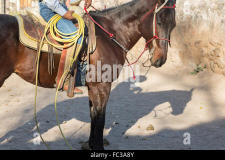 Der Schatten eines mexikanischen Charro oder Cowboy während des Trainings für einen Charreada Wettbewerb auf einer Hacienda-Ranch in Alcocer, Mexiko. Die Charreada ist eine traditionelle mexikanische Rodeo und testet die Fähigkeiten des Cowboys reiten, Abseilen und Vieh zu kontrollieren. Stockfoto