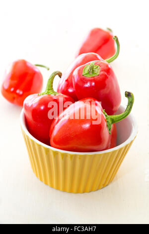 Eine Vielzahl von kleinen roten Paprika aus dem Hausgarten. Stockfoto