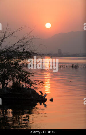 Goldener Sonnenuntergang am Ana Sagar See in Ajmer, Indien mit Silhouetten der Bäume und Fischer. Stockfoto