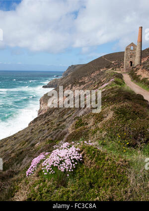 Das Maschinenhaus der Towanroath bei Wheal Coates zwischen St. Agnes und Porthtowan an der Nordküste in Cornwall in TV, s Poldark verwendet Stockfoto