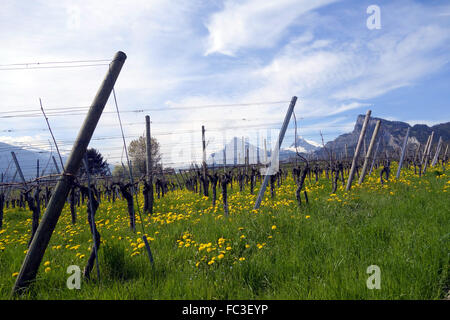 Graubünden-Schweiz Stockfoto