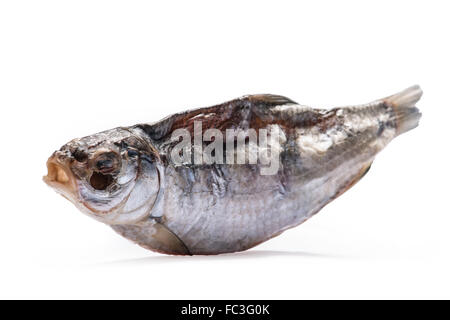 Getrockneter Fisch auf weißem Hintergrund Stockfoto