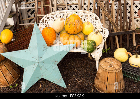 Eine Darstellung der Herbst Kürbisse und Kalebassen in einem Geschäft in historischen kolonialen Dorf Leesburg, Virginia außerhalb Washington, DC. Stockfoto