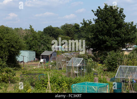 Städtischen Schrebergärten, Hampton, Richmond, London, England, UK Stockfoto