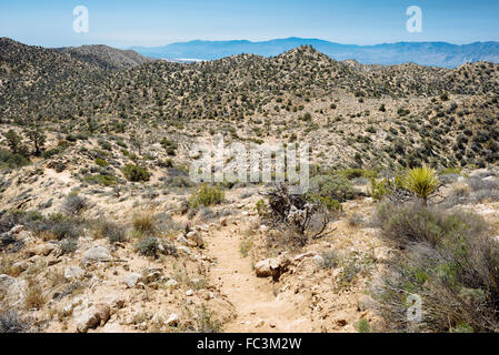 Wandern entlang des Weges zu Warren Gipfel im Joshua Tree Nationalpark, Kalifornien Stockfoto