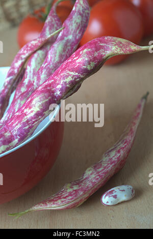 Frische Borlotti-Bohnen und Tomaten Stockfoto