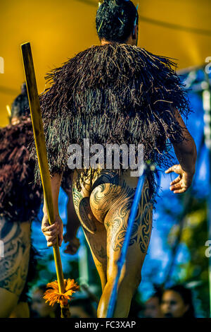 Rückansicht des Maori männlichen tragen native Kostüm & Stammes-Tätowierungen Darsteller tun Haka (Kriegstanz) Festival in Melbourne, Australien Stockfoto