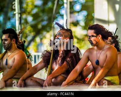 Maori Künstler machen die Haka (Kriegstanz) in Melbourne Festival, Australien Stockfoto