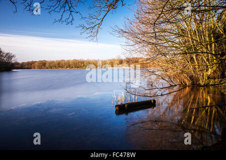 Ein sonniger Wintertag auf Coate Wasser in Swindon. Stockfoto