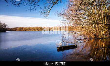 Ein sonniger Wintertag auf Coate Wasser in Swindon. Stockfoto