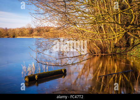 Ein sonniger Wintertag auf Coate Wasser in Swindon. Stockfoto