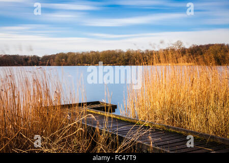 Ein sonniger Wintertag auf Coate Wasser in Swindon. Stockfoto