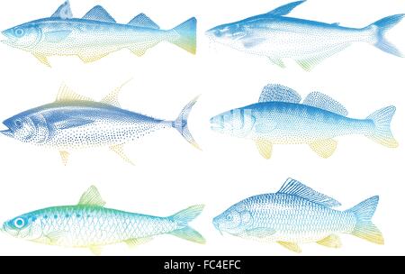 Meer Fische, Vektor-illustration Stock Vektor