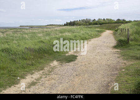 Wandern Sie auf dem Wattenmeer Stockfoto