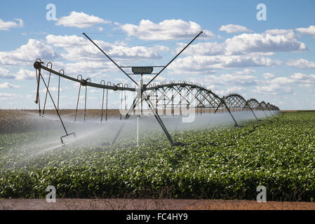 Der Bewässerung mit Center Pivot-System für Soja-Plantage in ländlichen Savannah region Stockfoto