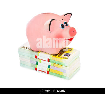 Sparschwein und Geld Stockfoto