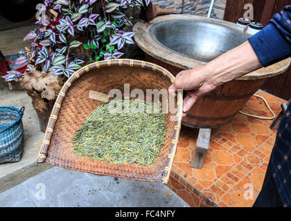 Frisch getrocknete Grüntee. Stockfoto
