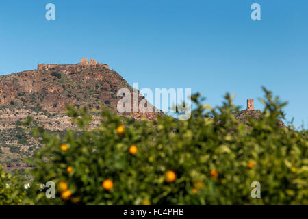 Spanische Höhenburgen und Orangenbäumen Baumgruppen Stockfoto