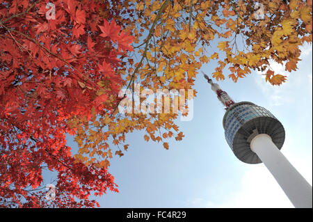 Seoul Tower und rot Ahornblätter Herbst am Namsan Berg in Südkorea Stockfoto