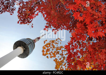 Seoul Tower und rot Ahornblätter Herbst am Namsan Berg in Südkorea Stockfoto