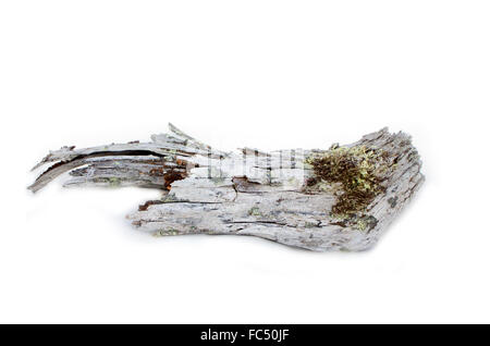 Holz ist sehr alt, auf weißem Hintergrund Stockfoto