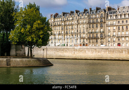 Tipp der Ile Saint Louis und Quai Aux Fleurs auf Île De La Cité mit Flussufer und Haussmaniann Gebäuden. Paris, 75004 Frankreich Stockfoto