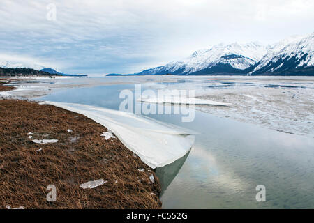 Eisschmelze am Chilkat River in der Nähe von Haines Alaska im Winter. Stockfoto