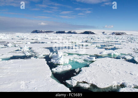 Eisfeld in der Antarktis an sonnigen Tag mit blauem Himmel. Stockfoto