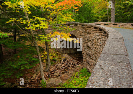 Amphitheater-Brücke, Amphitheater Schleife Beförderung Straße, Acadia National Park, Maine, USA Stockfoto